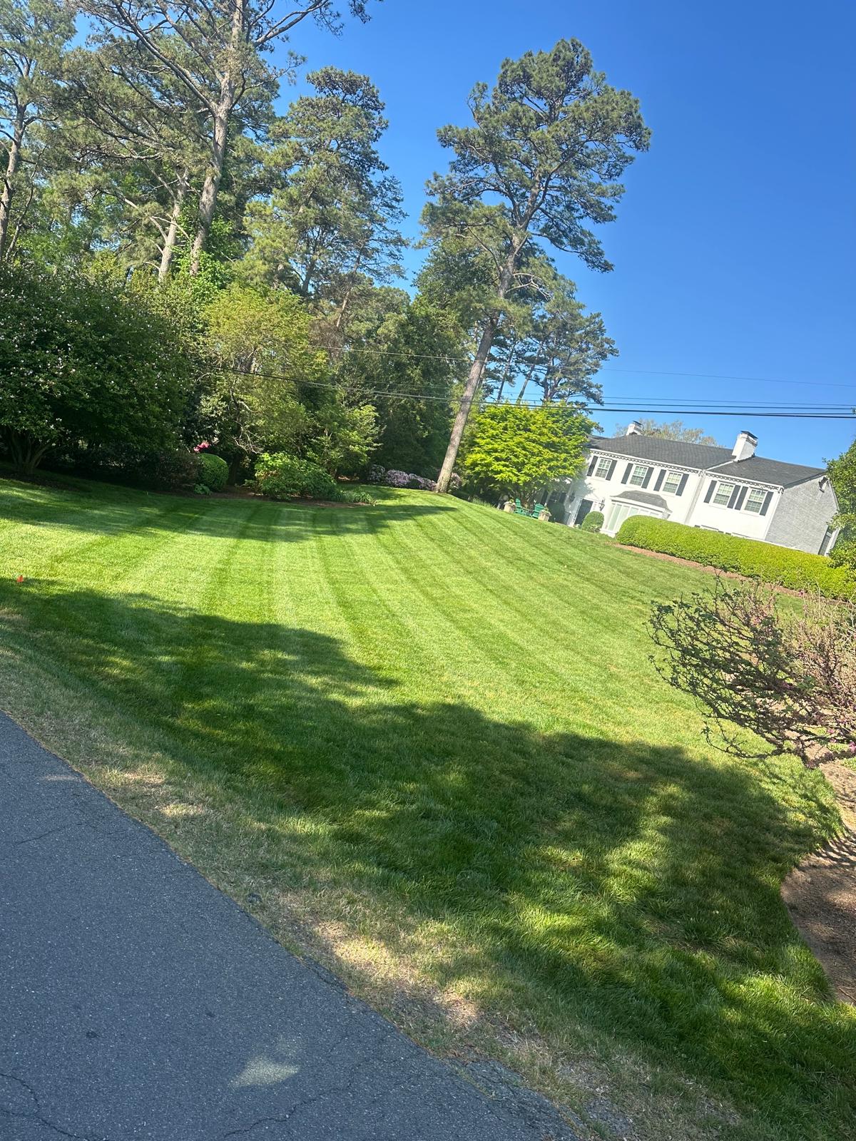 GAC Lawn Care Project 11