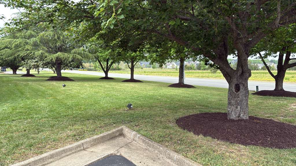GAC Lawn Care Project 2