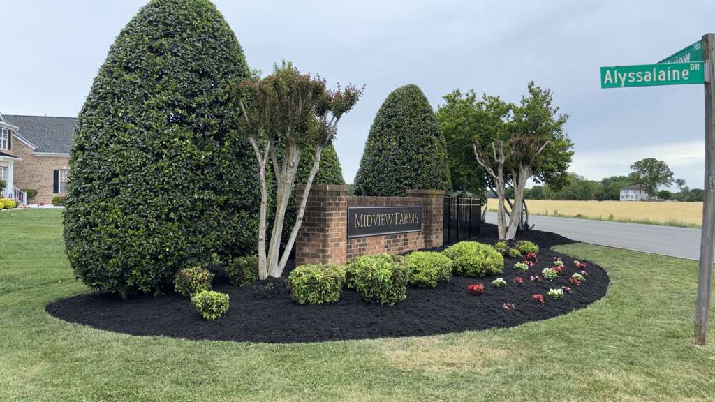 GAC Lawn Care Project 6