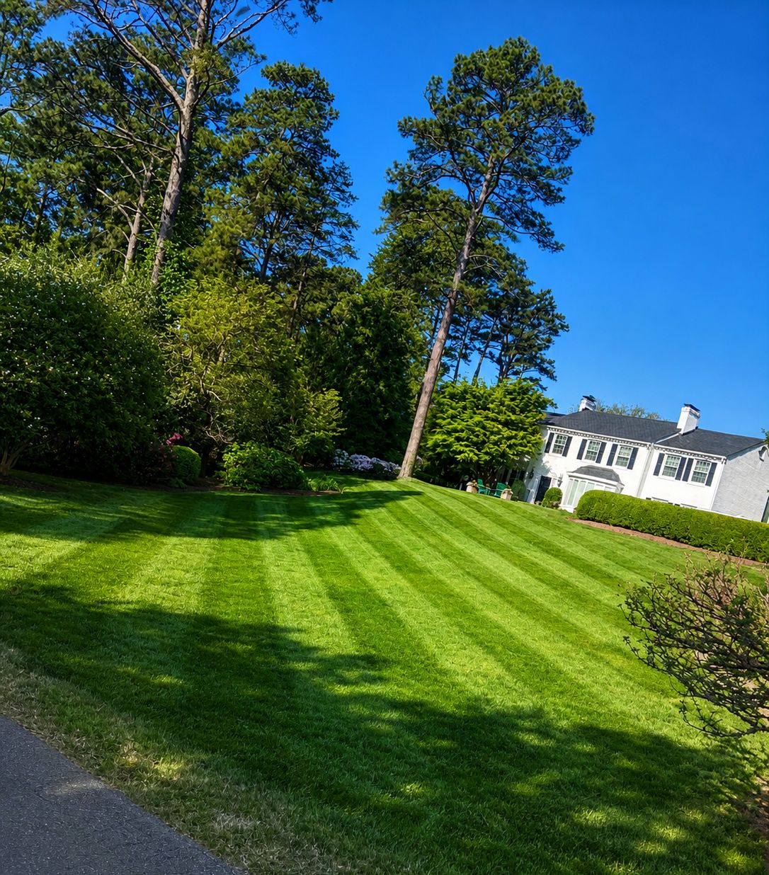 Lawn Care